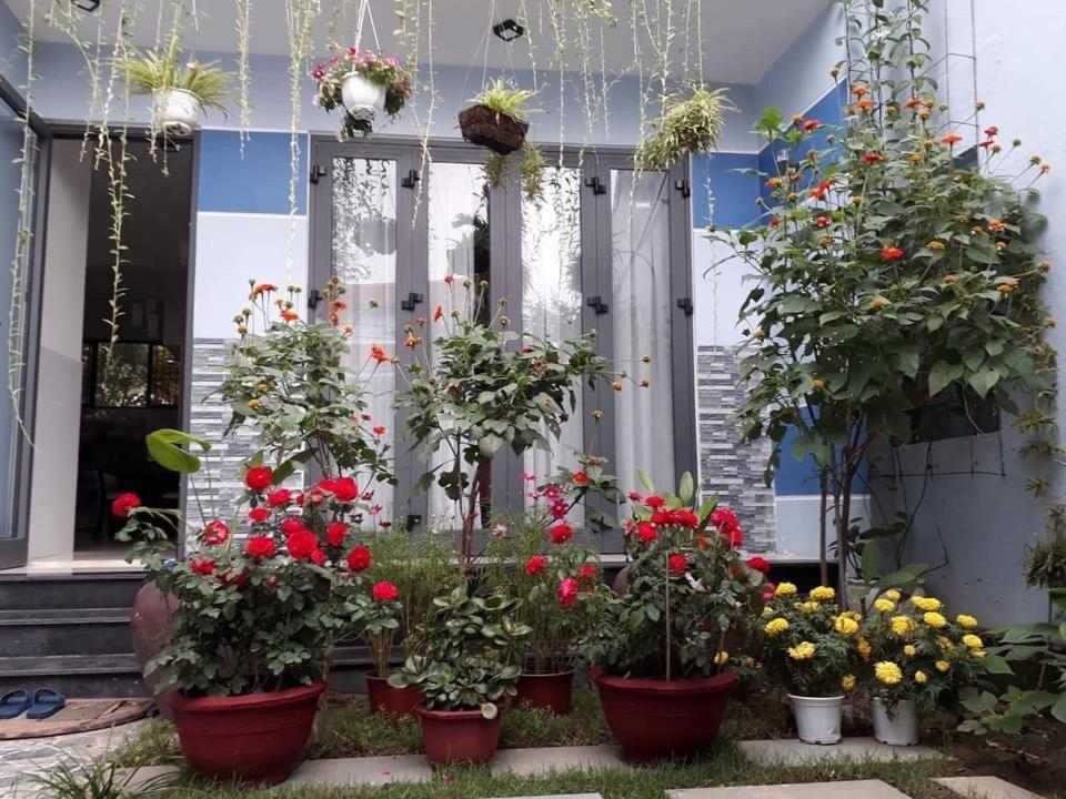 Cherry Garden Homestay Hội An Kültér fotó