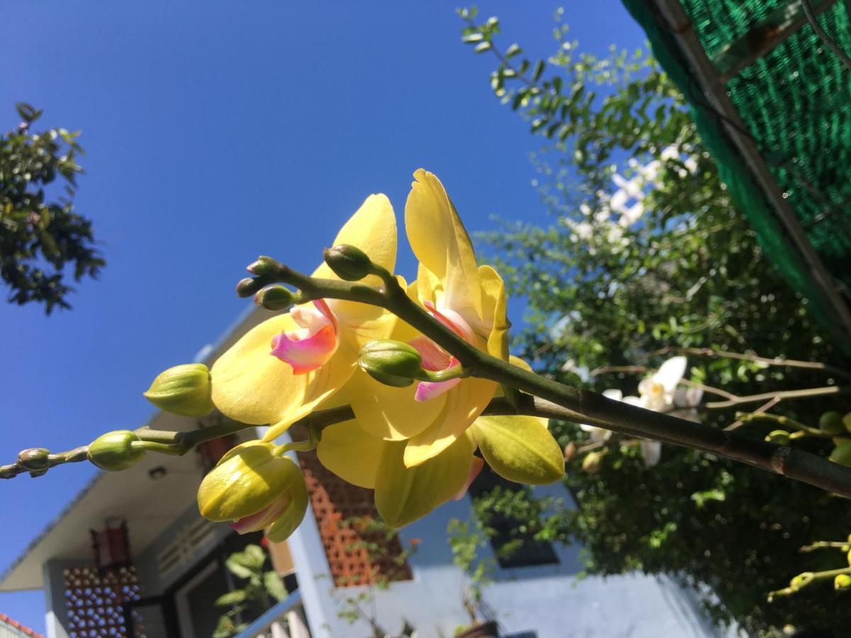 Cherry Garden Homestay Hội An Kültér fotó