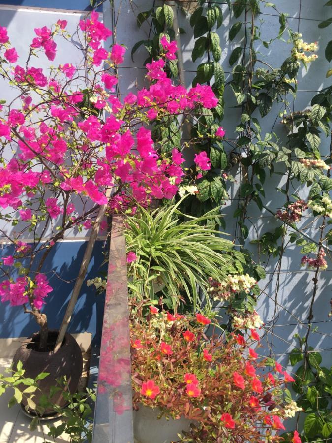 Cherry Garden Homestay Hội An Kültér fotó