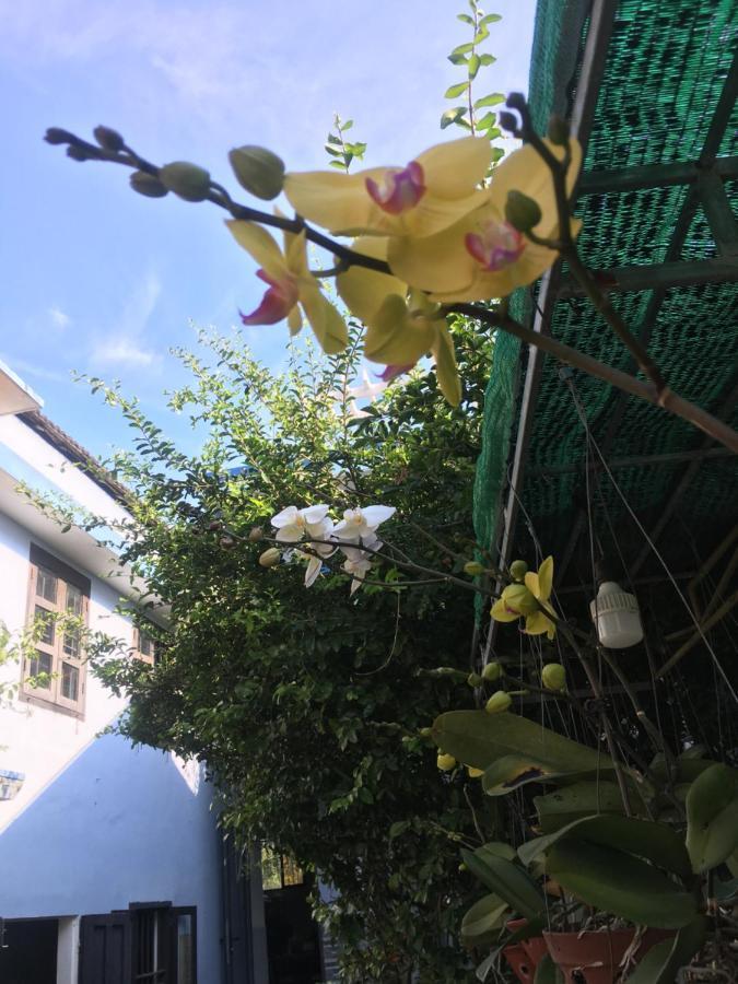 Cherry Garden Homestay Hội An Kültér fotó