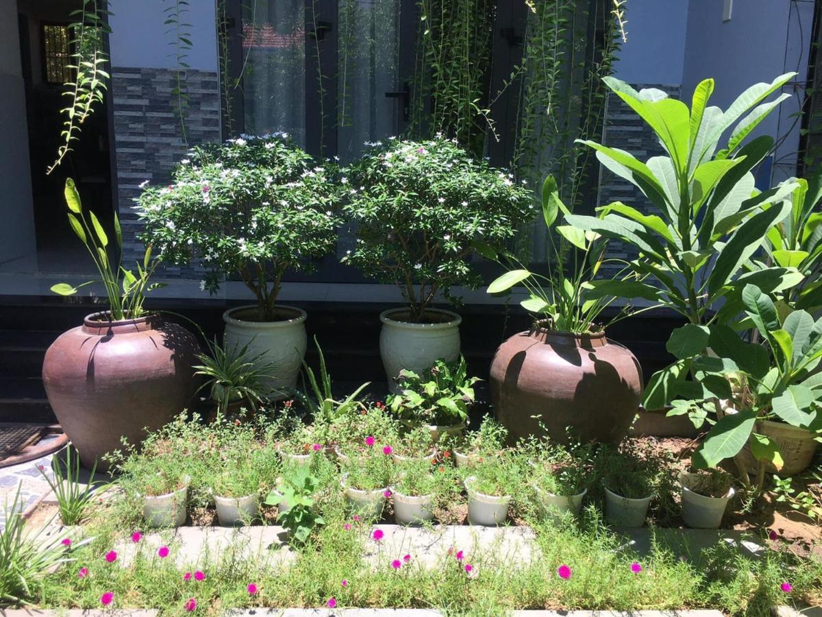 Cherry Garden Homestay Hội An Kültér fotó