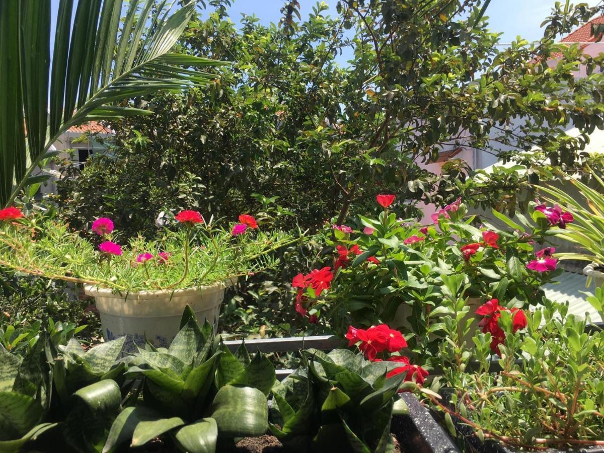 Cherry Garden Homestay Hội An Kültér fotó