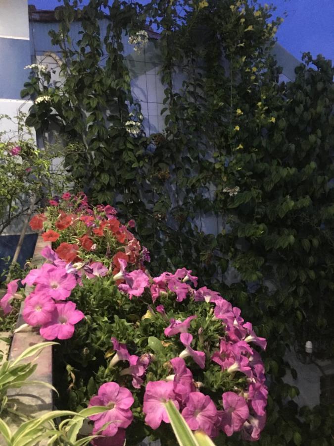 Cherry Garden Homestay Hội An Kültér fotó