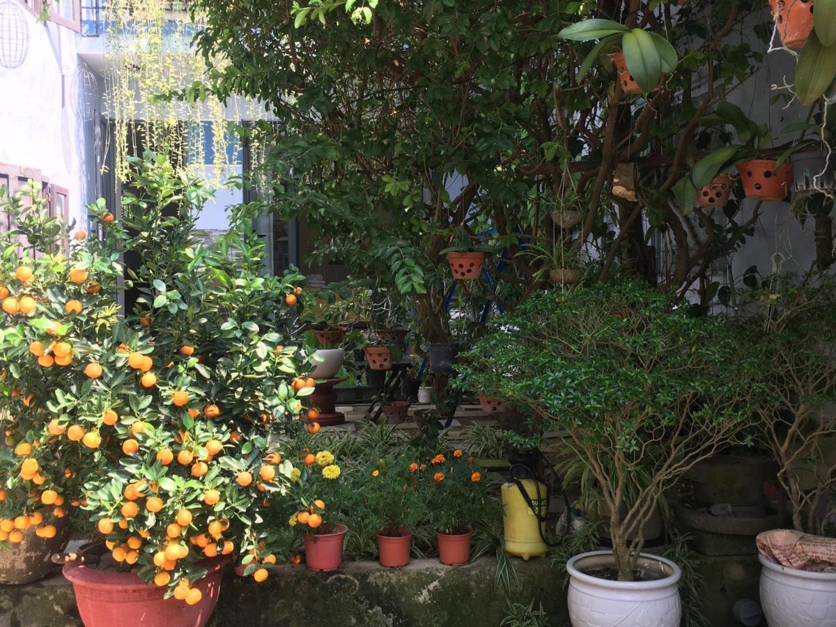Cherry Garden Homestay Hội An Kültér fotó